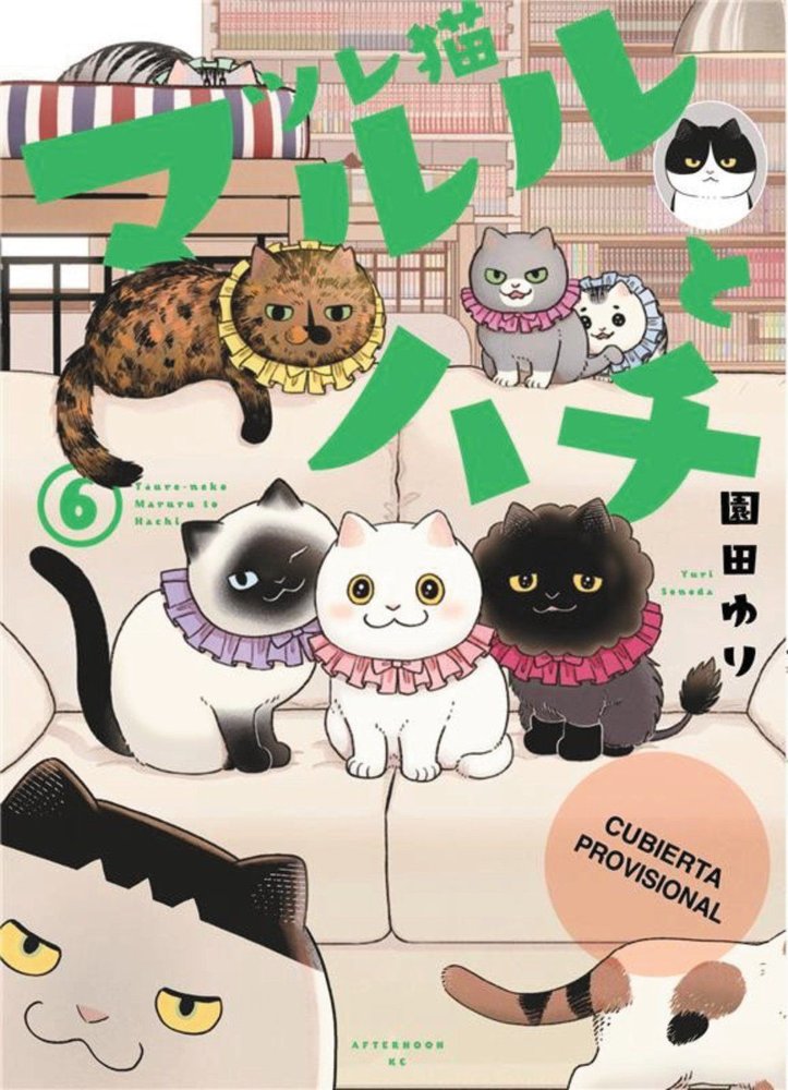 LOS AMIGATOS HACHI Y MARURU 6.