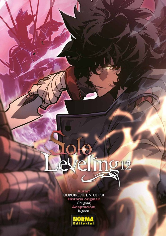 SOLO LEVELING 12.