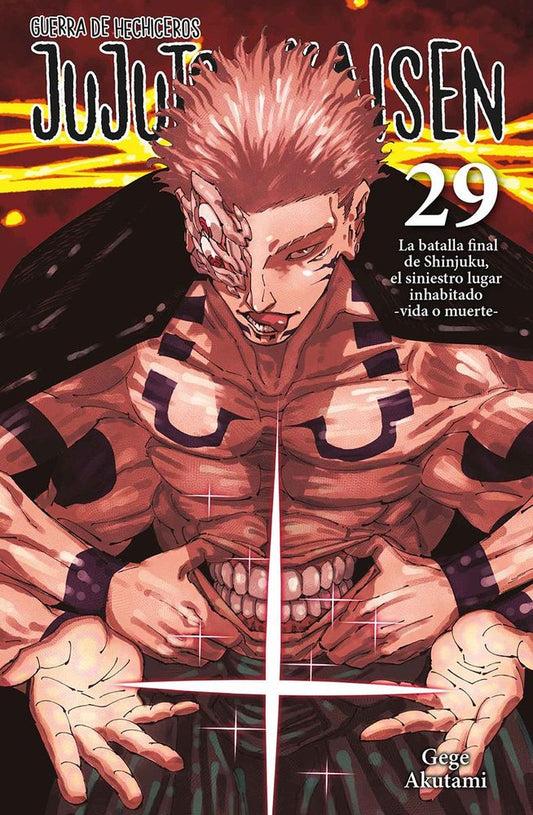 JUJUTSU KAISEN 29. (Tiempo de entrega extra.)