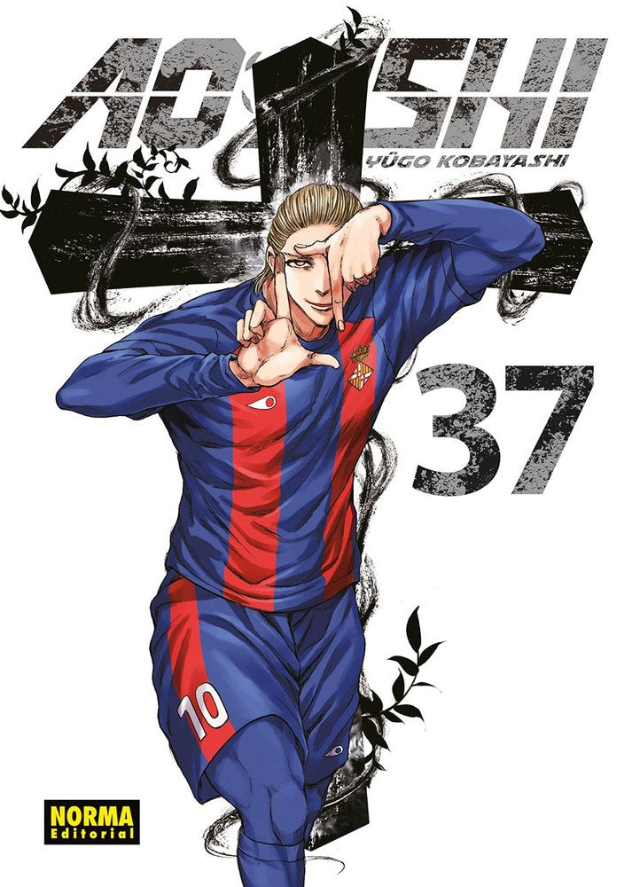 AO ASHI 37.