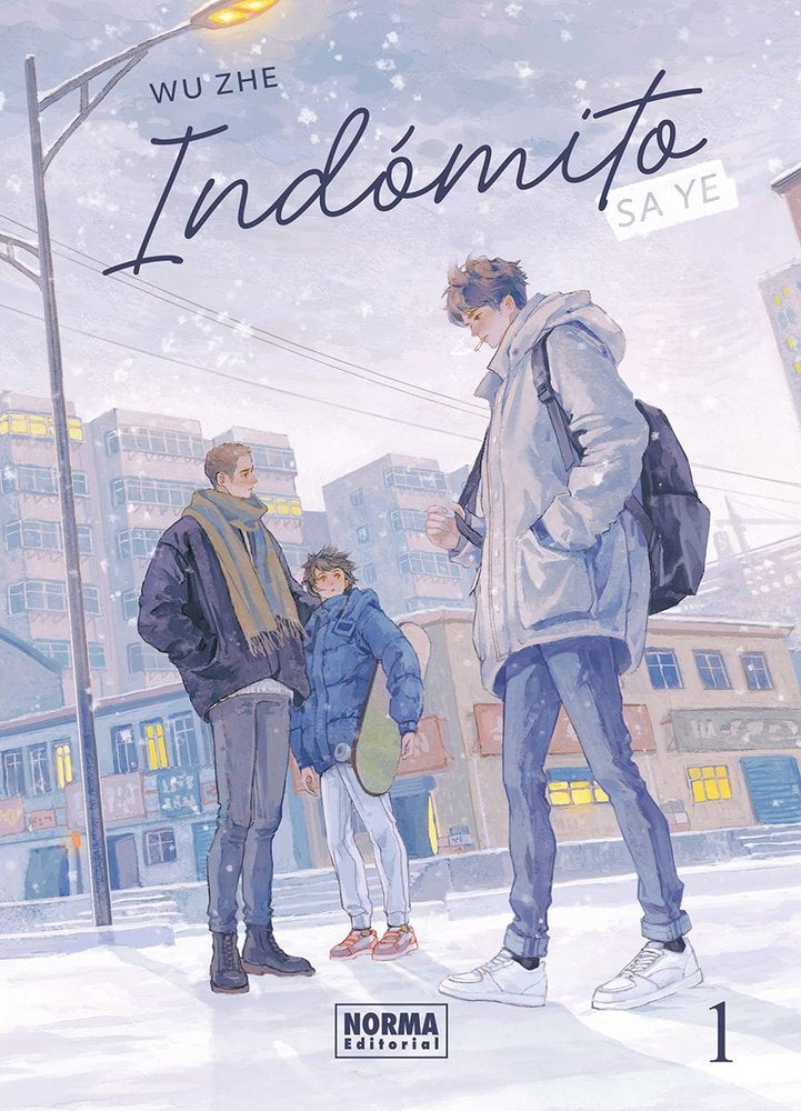 INDOMITO SA YE 1.
