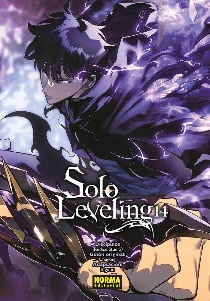 SOLO LEVELING 14.